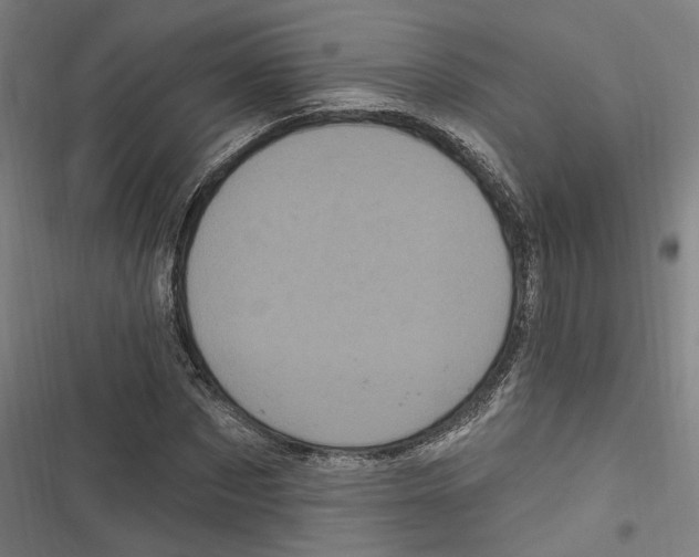 X0000116850873201001191638