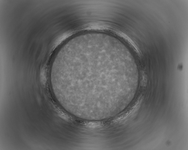 X0000116850874201001191638