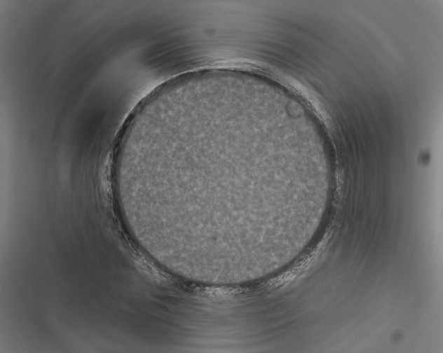 X0000116850875201001191638