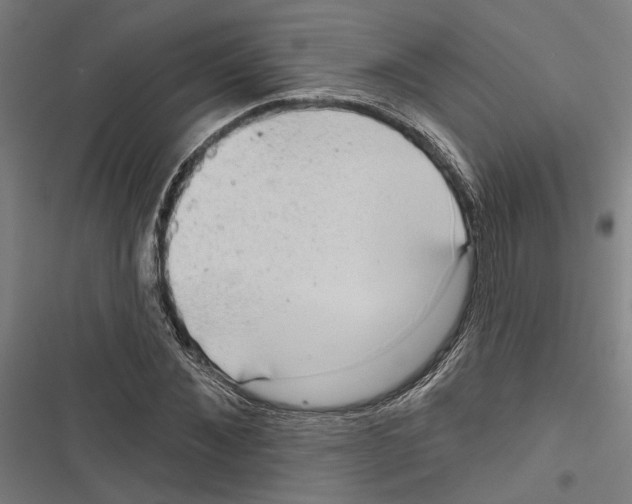 X0000116850876201001191638