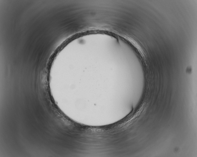 X0000116850878201001191638