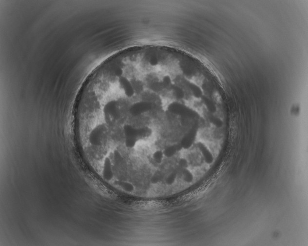 X0000116850879201001191638