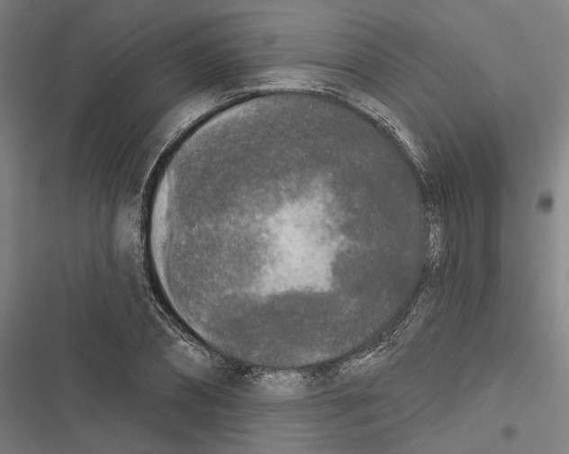 X0000116850882201001191638