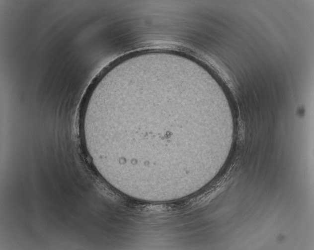 X0000116850883201001191638