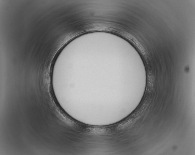X0000116850890201001191638