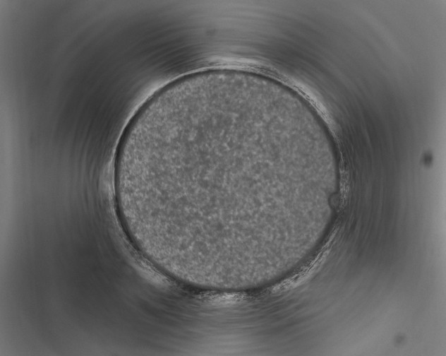 X0000116850891201001191638