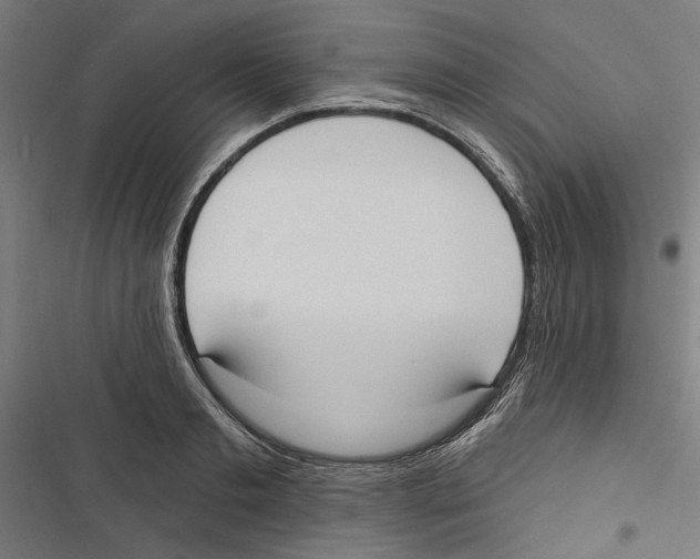 X0000116850893201001191638