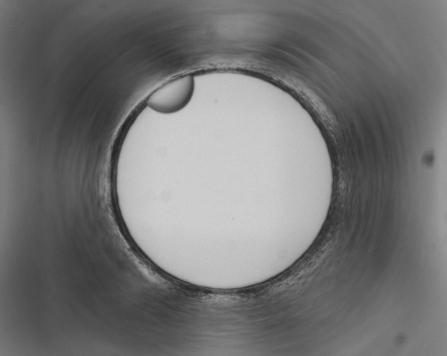 X0000116850894201001191638