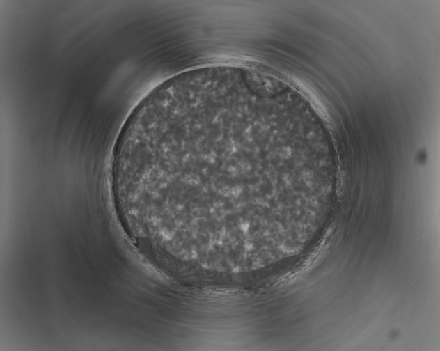 X0000116850899201001191638