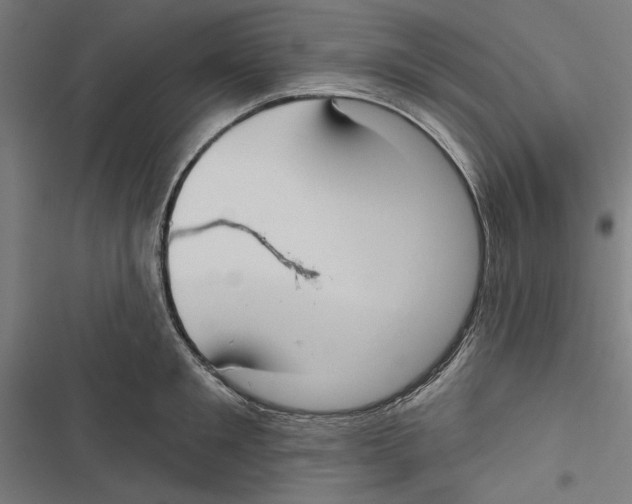 X0000116850901201001191638