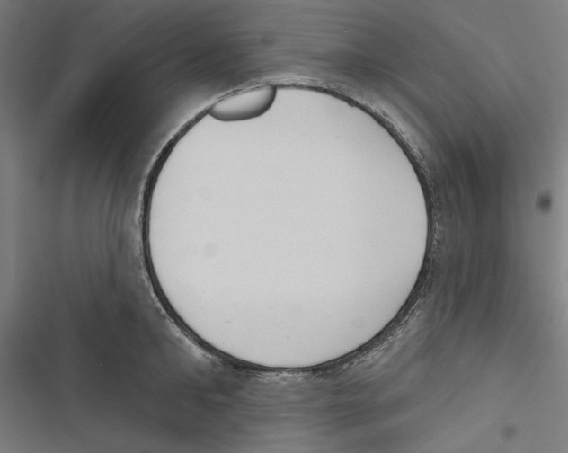 X0000116850902201001191638