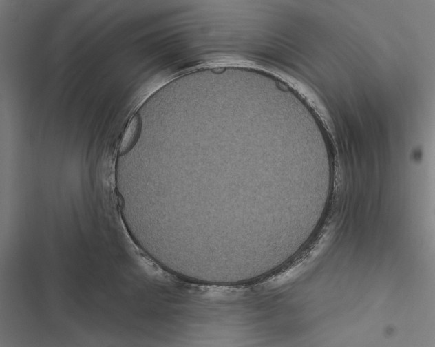 X0000116850905201001191638