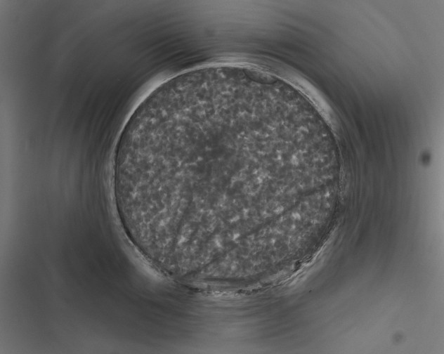 X0000116850907201001191638