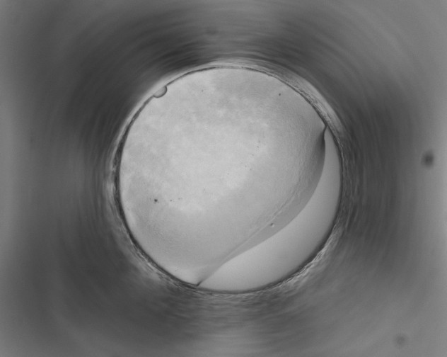 X0000116850908201001191638
