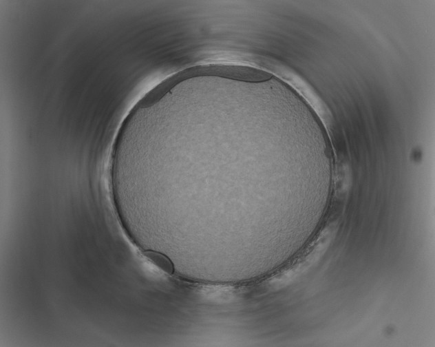 X0000116850909201001191638