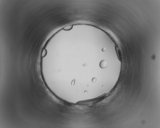 X0000116850910201001191638