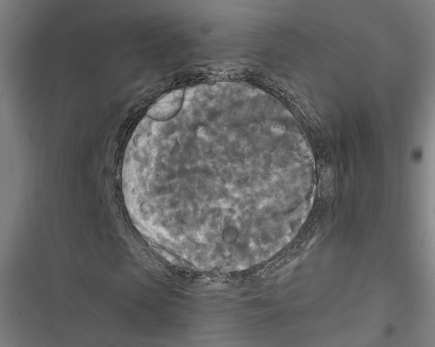 X0000116850913201001191637