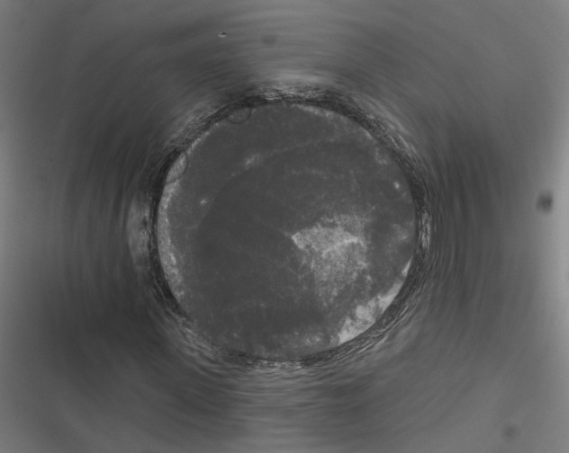 X0000116850915201001191637