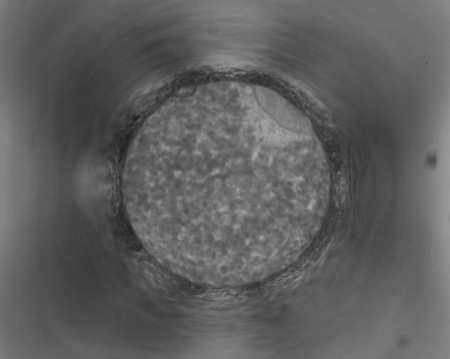 X0000116850917201001191637