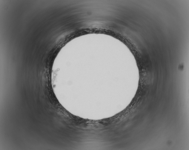 X0000116850918201001191637