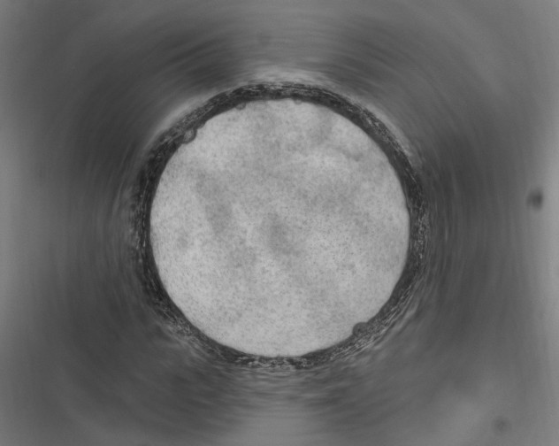 X0000116850919201001191637
