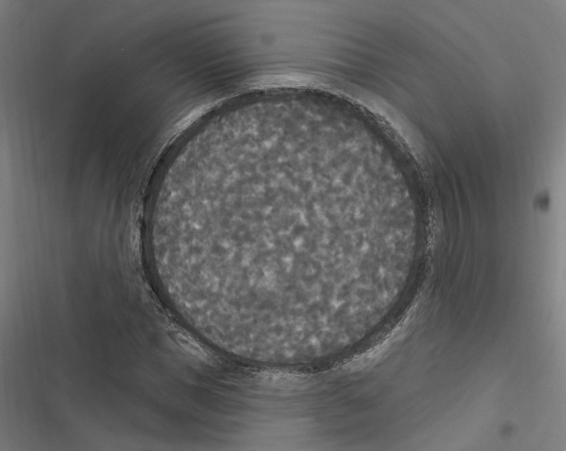 X0000116850921201001191637