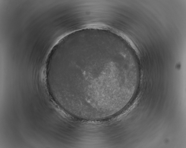 X0000116850923201001191637