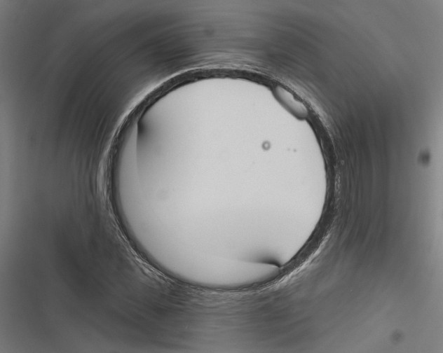 X0000116850925201001191637