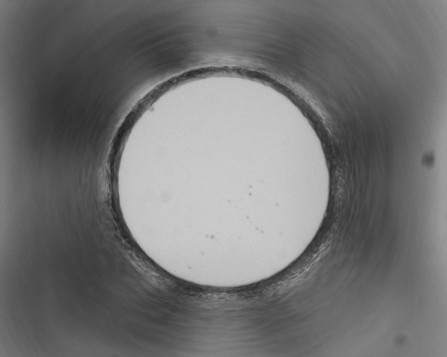 X0000116850927201001191637
