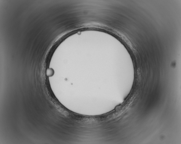 X0000116850931201001191637