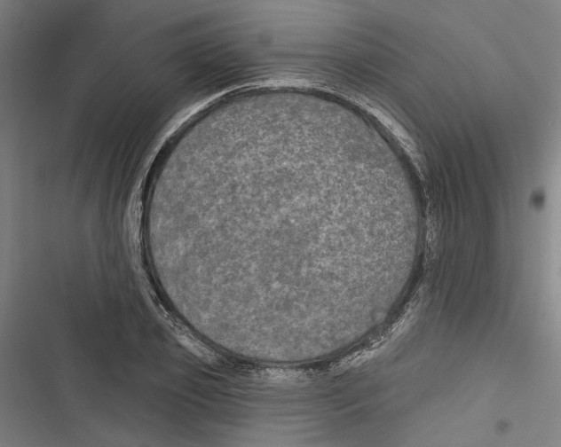 X0000116850933201001191637