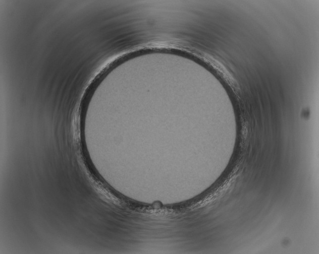 X0000116850934201001191637