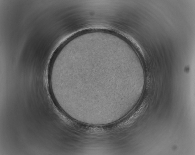 X0000116850935201001191637