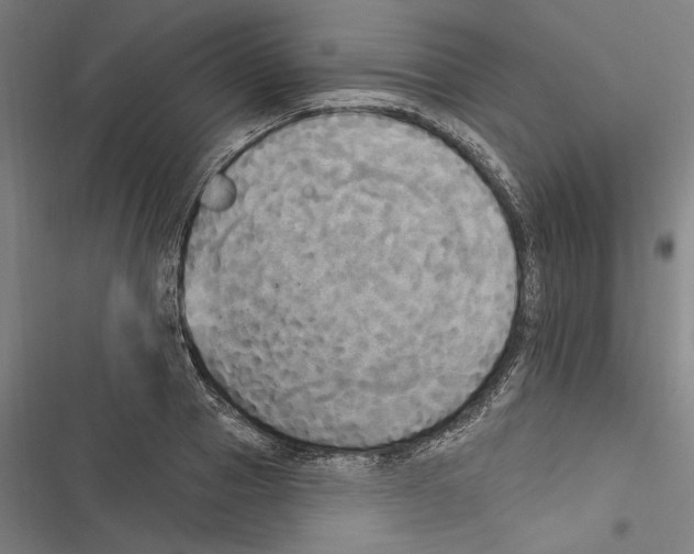 X0000116850937201001191637