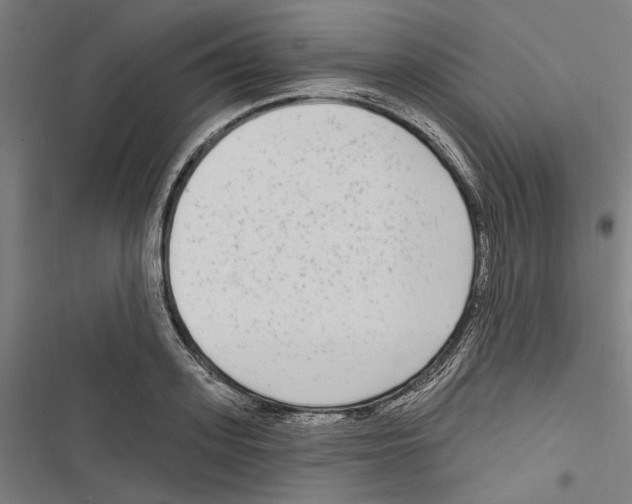 X0000116850939201001191637