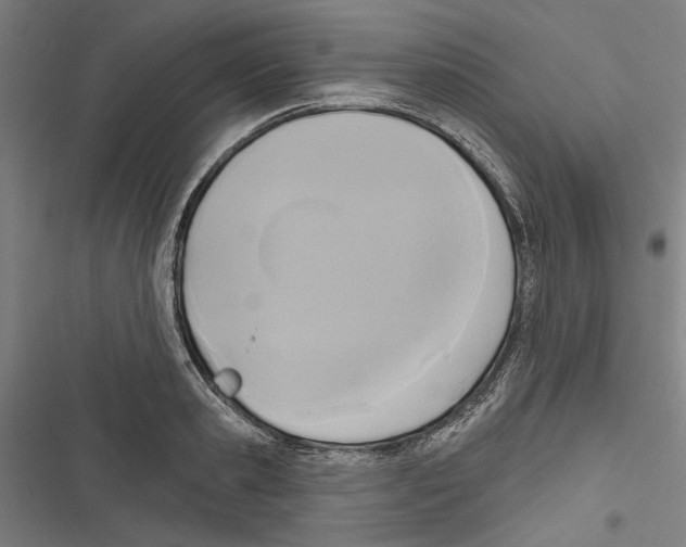 X0000116850941201001191637