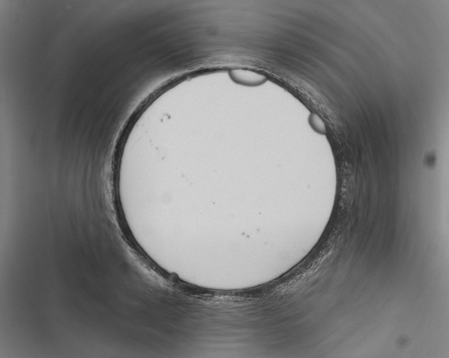 X0000116850942201001191637
