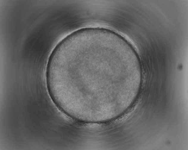 X0000116850943201001191637