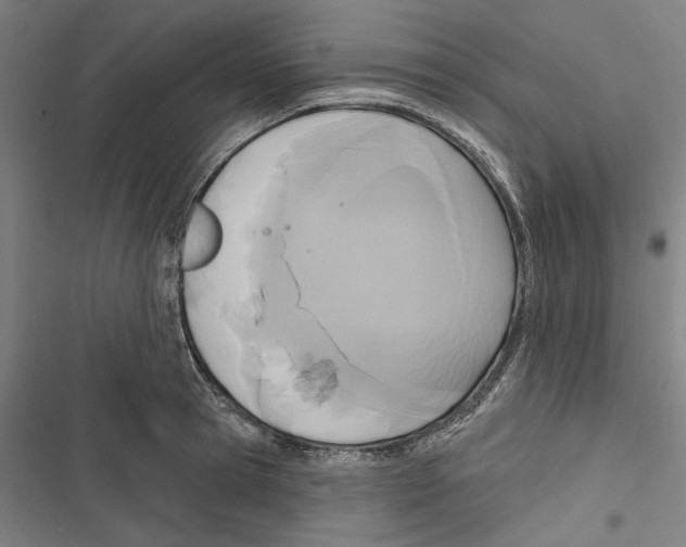 X0000116850945201001191637