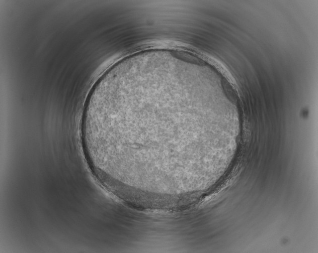 X0000116850946201001191637