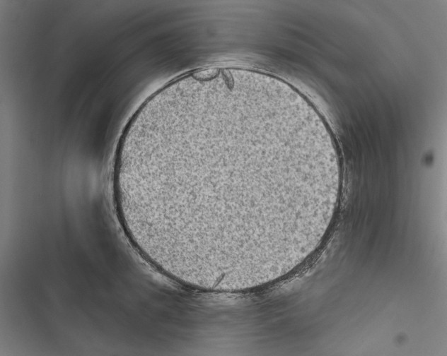 X0000116850949201001191637