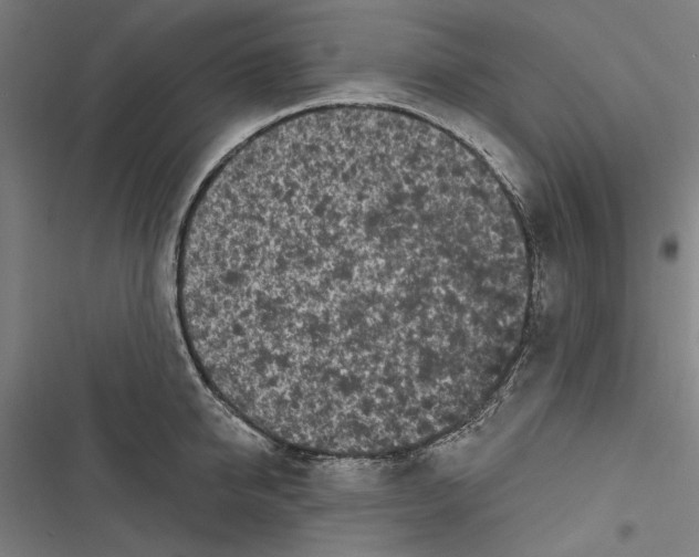 X0000116850950201001191637
