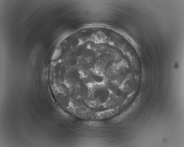X0000116850953201001191638