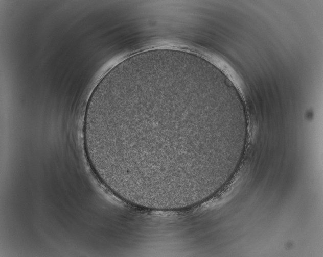 X0000116850954201001191638