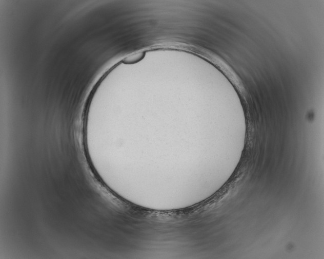 X0000116850955201001191638