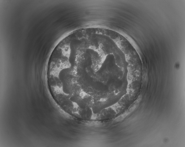 X0000116850957201001191638