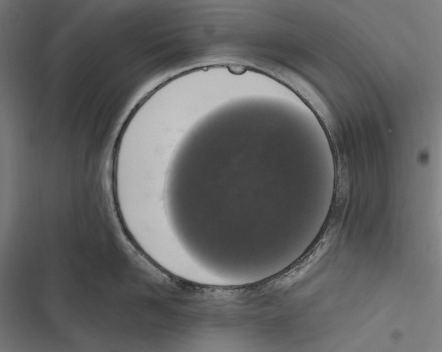 X0000116850958201001191638