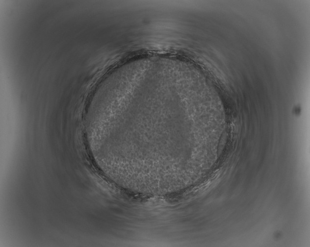 X0000116850961201001191637