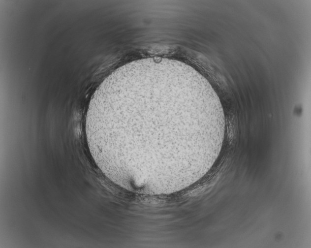 X0000116850962201001191637
