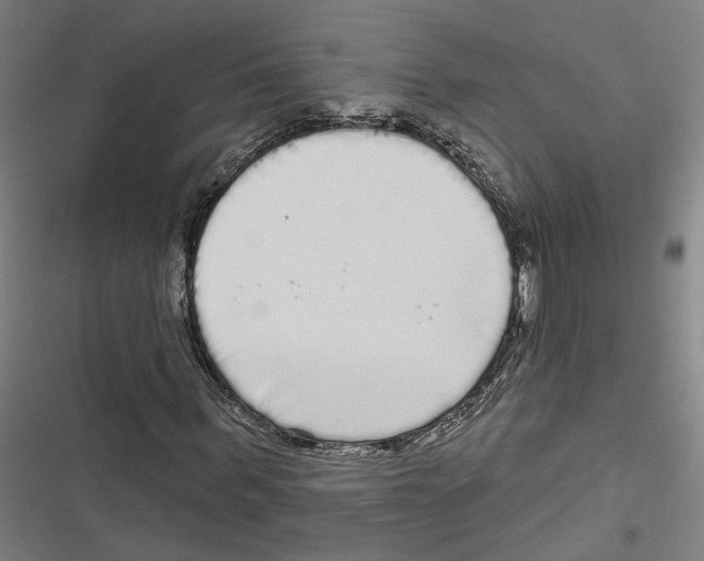 X0000116850963201001191637